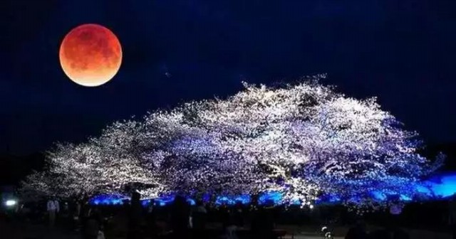 国庆中秋节陪父母出游-北京蓝调庄园