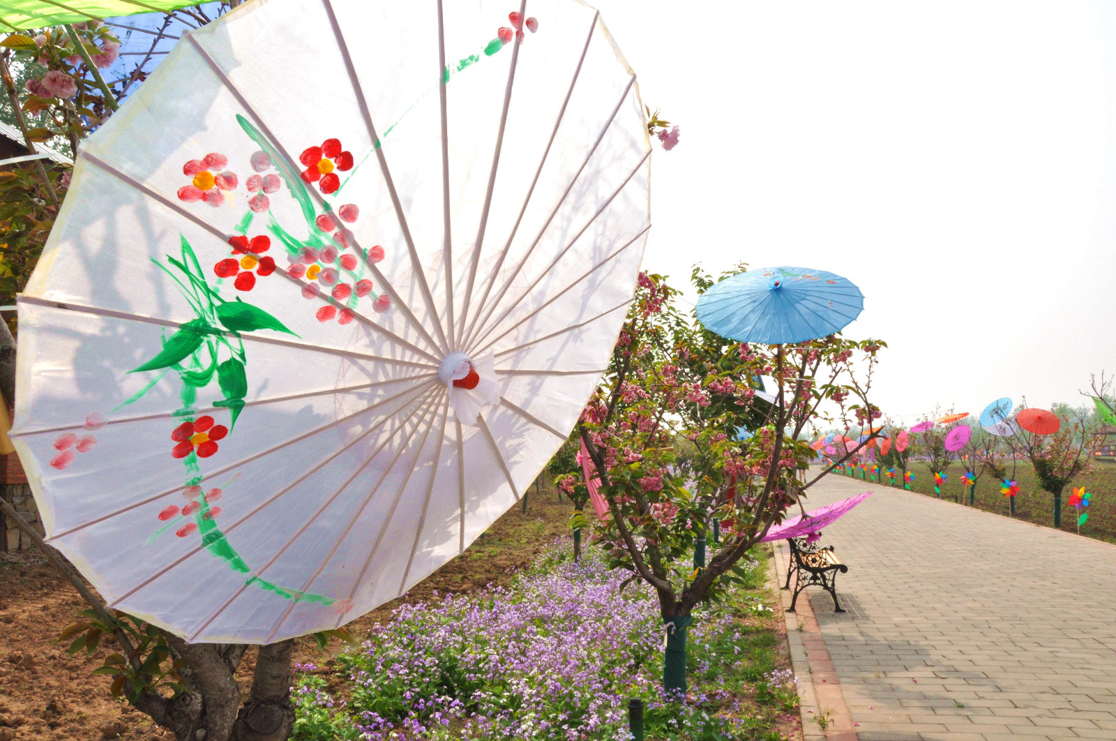 DSC_0884_副本.jpg
