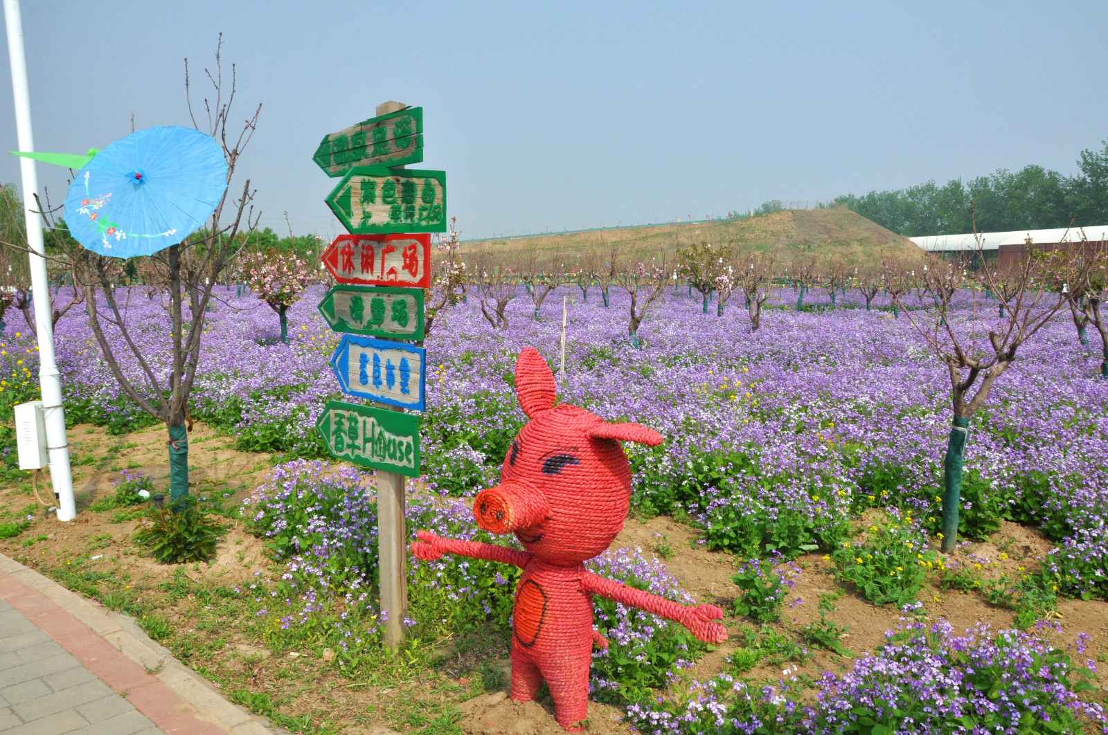 DSC_0877_副本.jpg