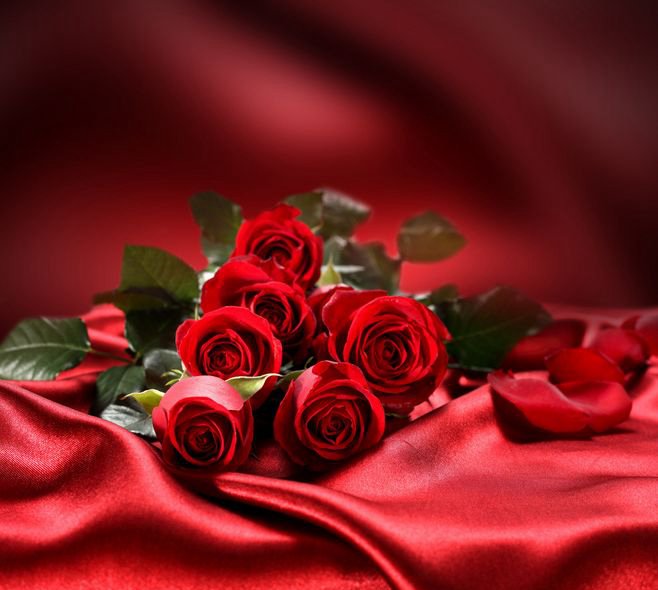 红玫瑰.jpg