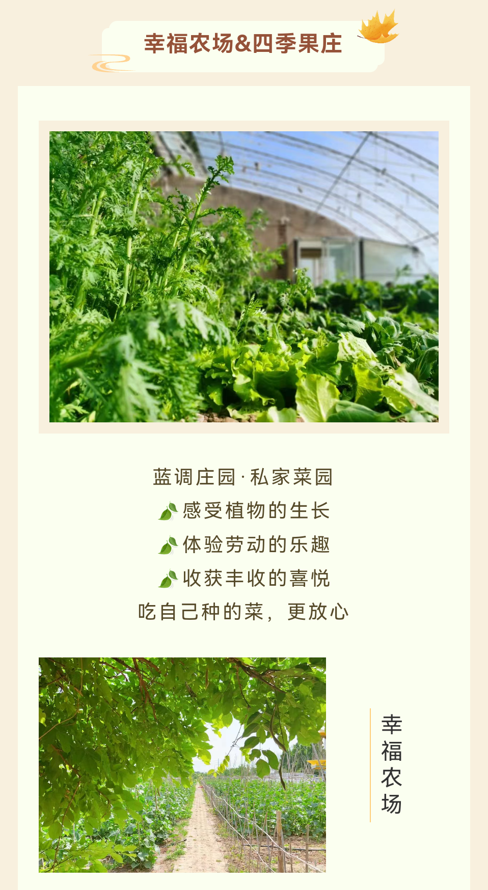e11c25fd0c985cbd44797747de21ee2.png