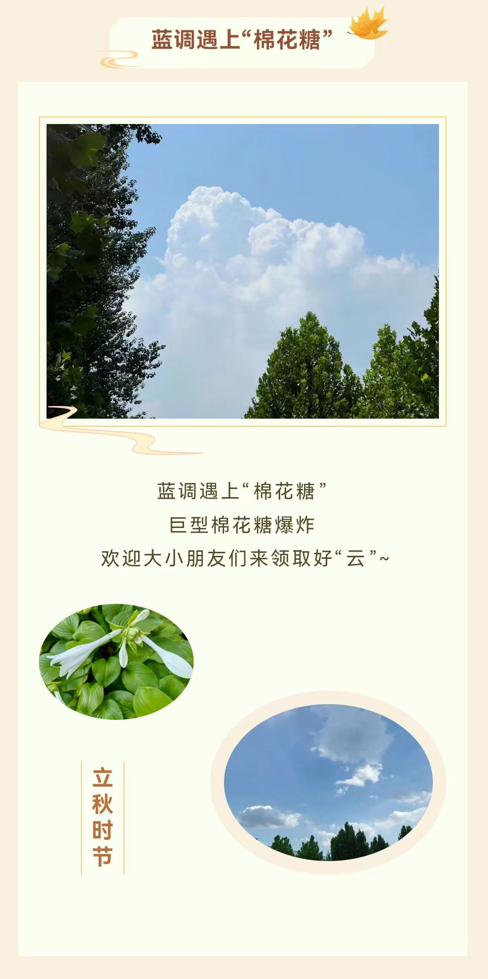 c2fcf57d77685f9f5d19ed2aa3bbb3d.jpg
