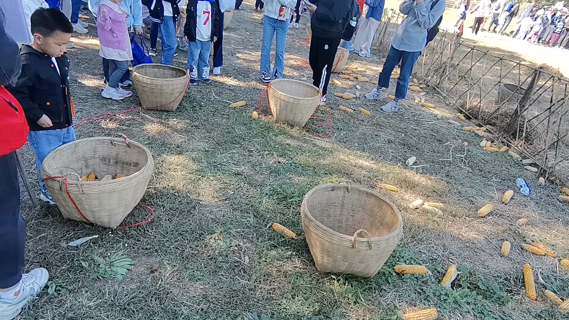 241010_1728544075823276.jpg