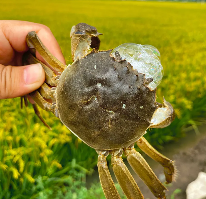 微信图片_20241016145608.png