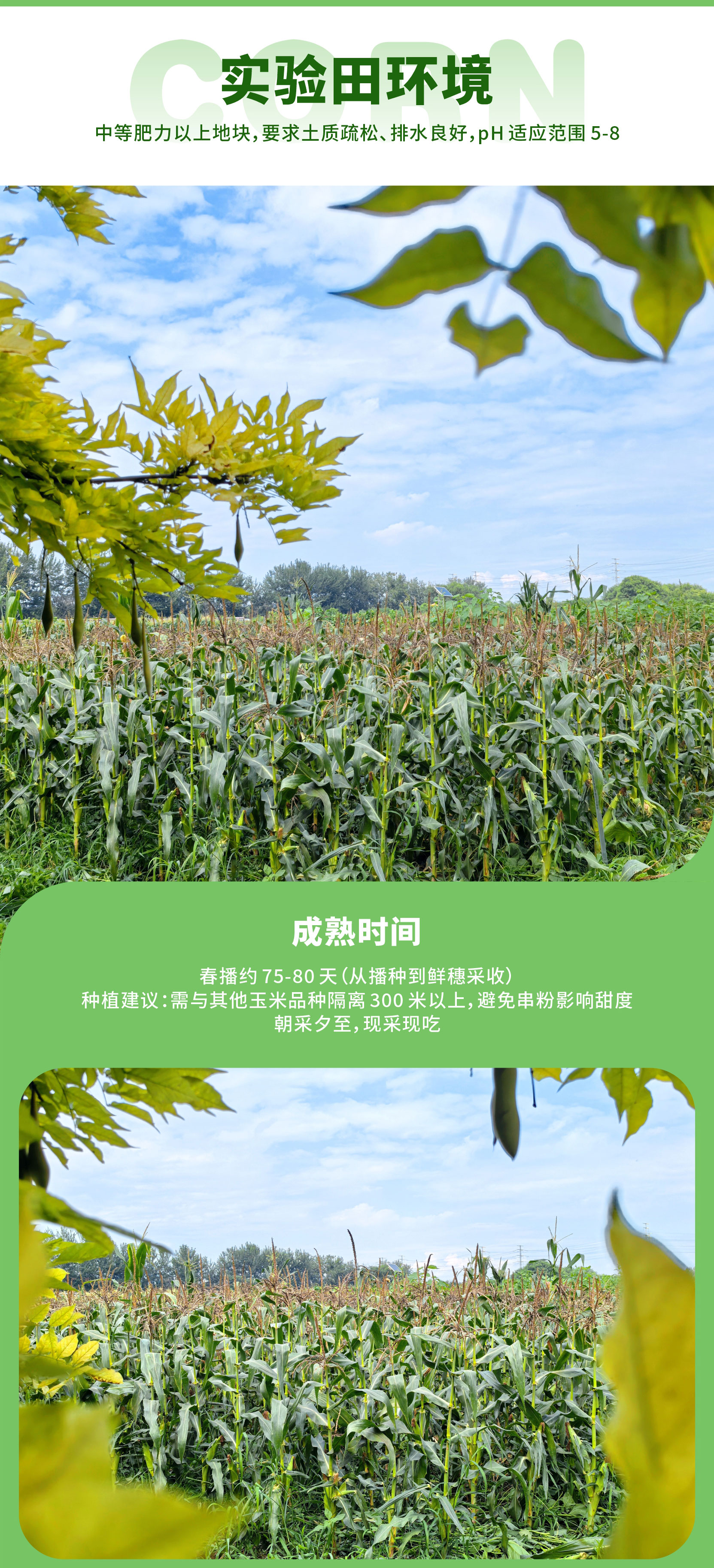 fc2d50d2b2cd43c29303bb45192563a.jpg