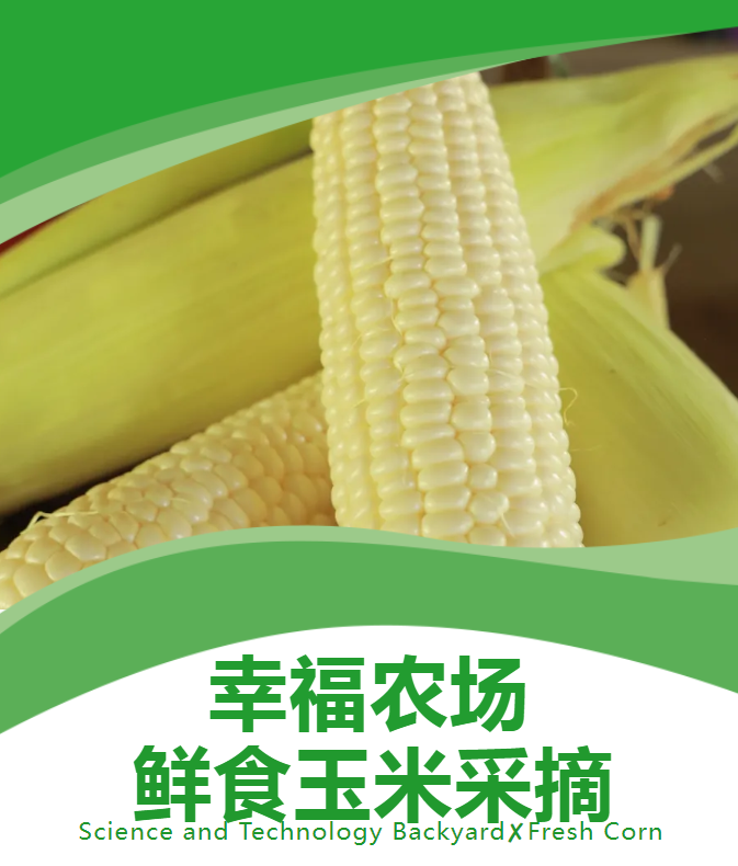 799b7c04e00fce2a35b7b6f5ad2a05f.png